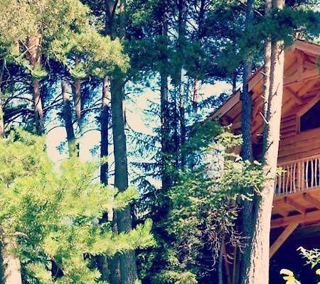 Les Cabanes Des Pins Sylvestres Сен-Мартен-Везюби Экстерьер фото
