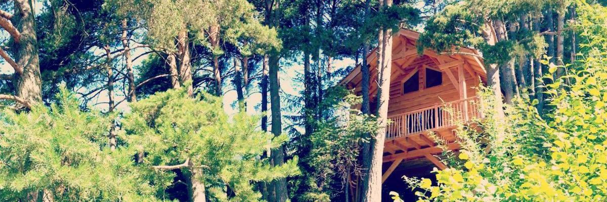 Les Cabanes Des Pins Sylvestres Сен-Мартен-Везюби Экстерьер фото